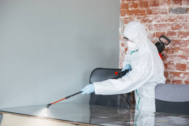 Why You Should Choose Our Mold Remediation Services in Wellsville, UT